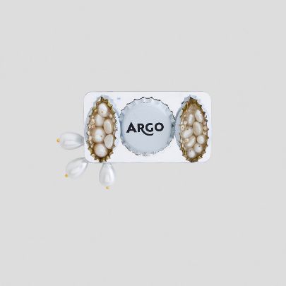 Picture of Argo brooch 12