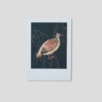 Note Cards: Quail