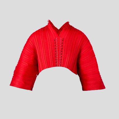 Picture of Red ghetto pleated sleeves