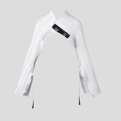 Picture of White pleated sleeves