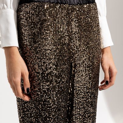 Picture of  Women's light shade sequin pants