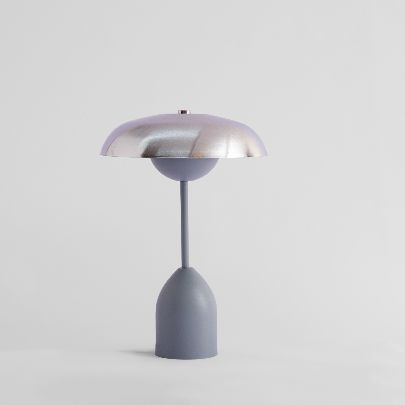 Picture of  Ninja gray iron table lamp