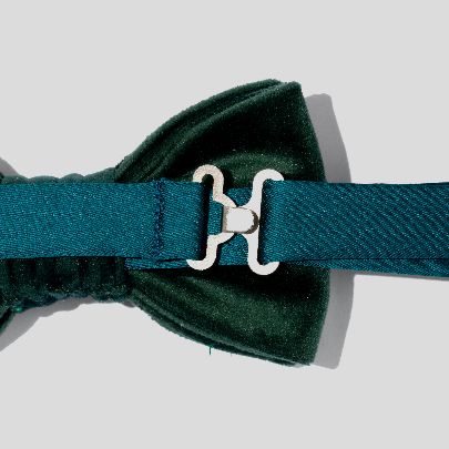 Picture of Noorarash green bow tie