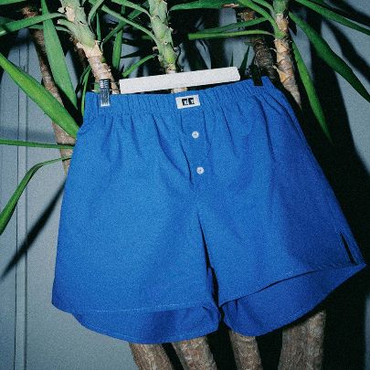 Picture of Herbal silk boxers