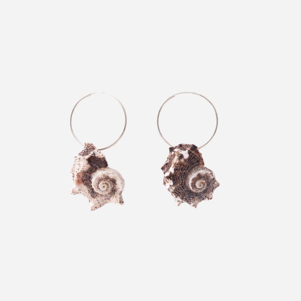 Picture of Shell and silver earrings