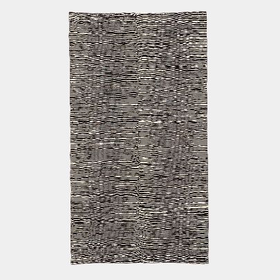 Picture of Black White Wool Kilim