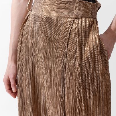 Picture of Women's pants with golden pleats