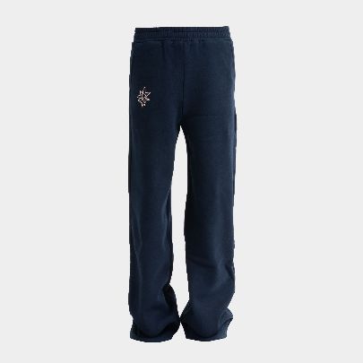 Picture of navy blue pants