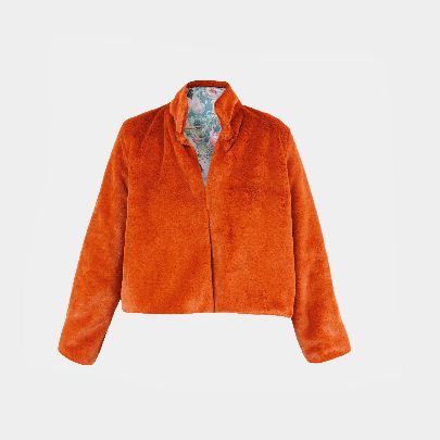 Picture of Orange fur coat