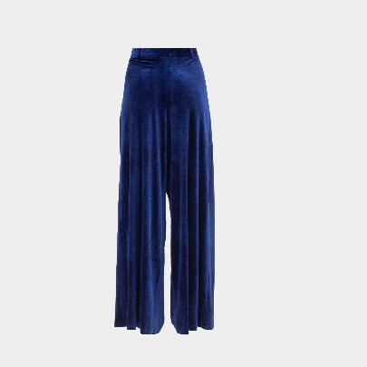 Picture of  Blue women's pants 