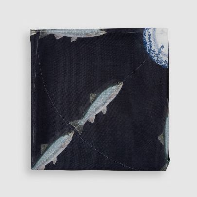 Picture of seafood in orbit scarf