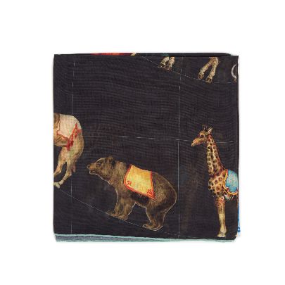 Picture of erfanmus circus 2 scarf