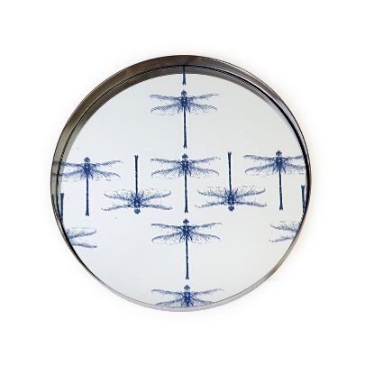 Picture of dragonfly tray