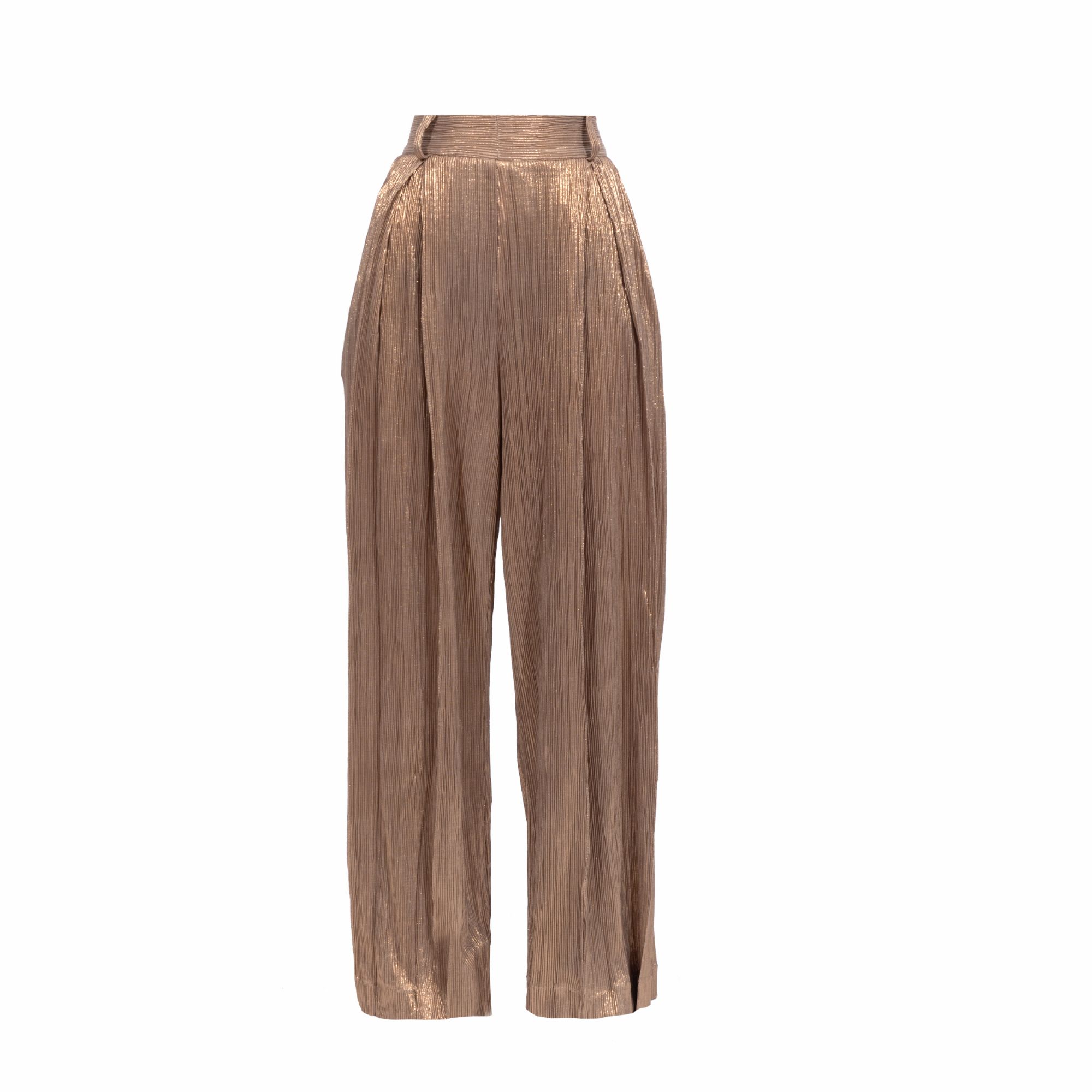 Picture of Women's pants with golden pleats